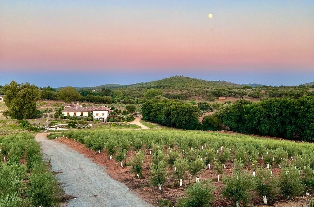 El Olivar de Valdelaseras